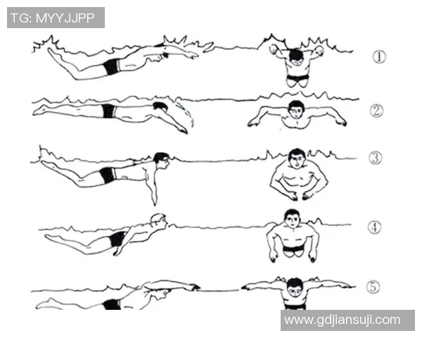 蝶泳技术解析与训练技巧全攻略 提升游泳速度与效率的关键秘诀